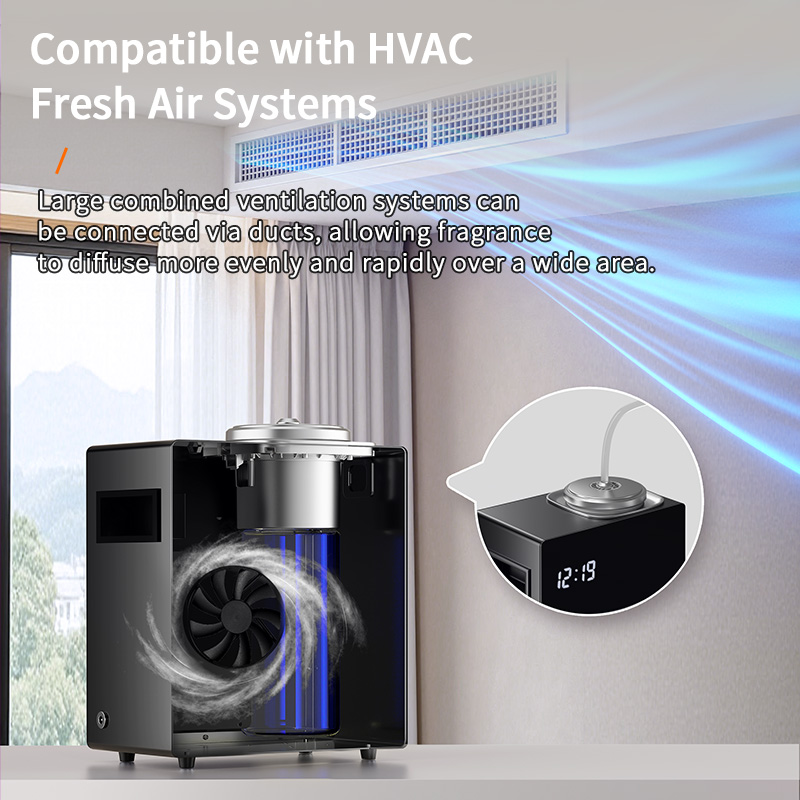 VS900BW - Image 3